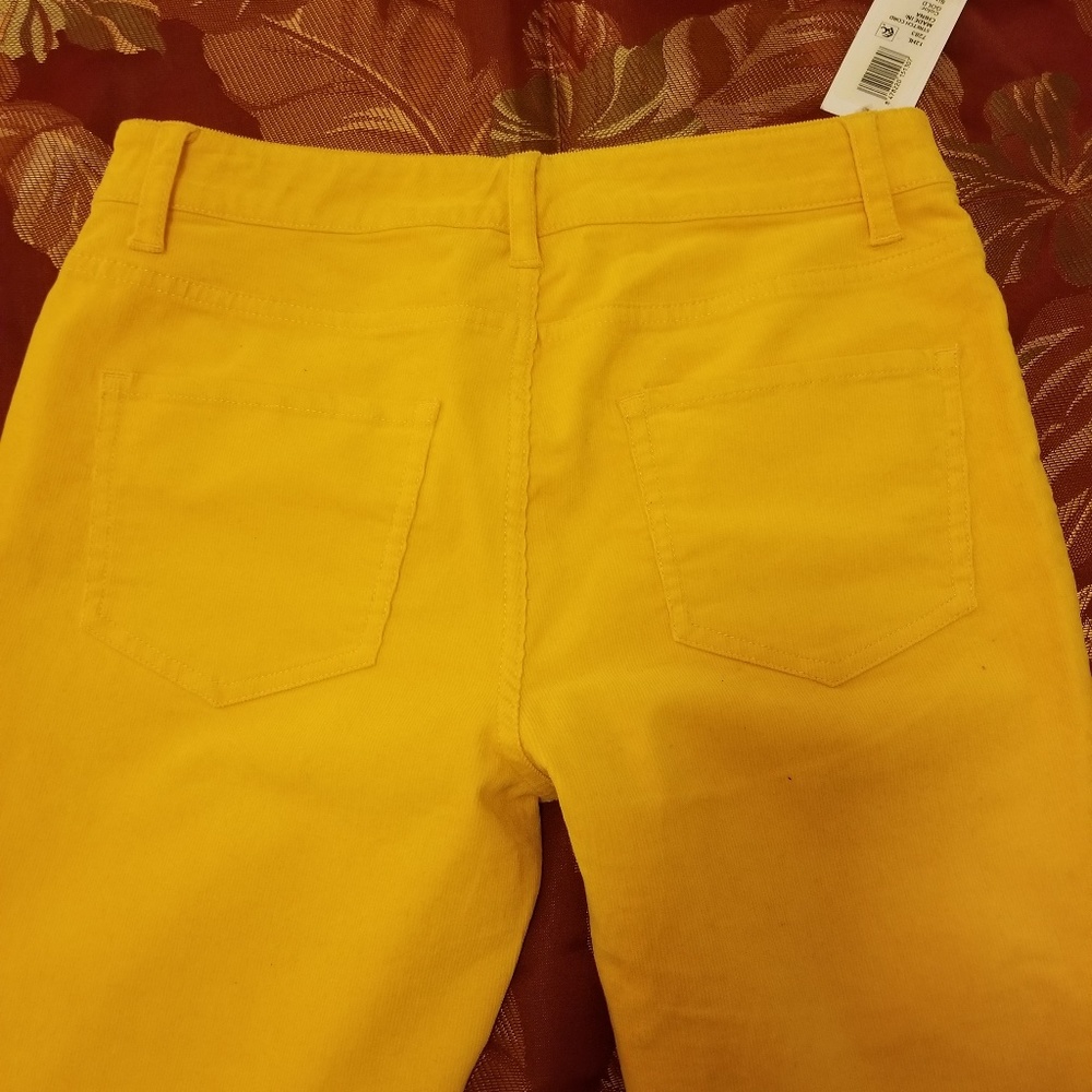 C Wonder Stretch cords